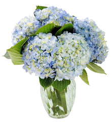 60-70$ - Free Delivery - MontRoyal Florist Montreal