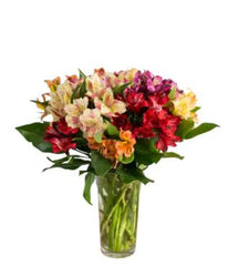 Fall Collection - Free Delivery - MontRoyal Florist Montreal