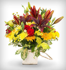 Get Well - Free Delivery - MontRoyal Florist Montreal