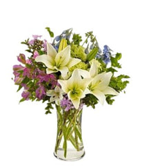 Summer Collection - Free Delivery - MontRoyal Florist Montreal