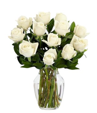 12 White Roses