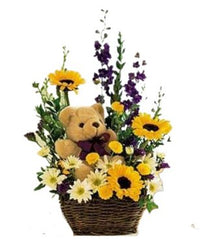 Basket and Bear Arrangement - Free Delivery - MontRoyal Florist Montreal