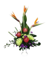 Bird's Nest - Free Delivery - MontRoyal Florist Montreal