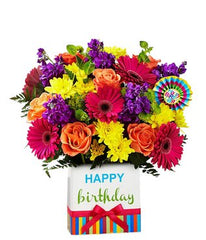 Birthday brights - Free Delivery - MontRoyal Florist Montreal