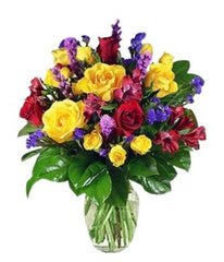 Burst of Summer - Free Delivery - MontRoyal Florist Montreal