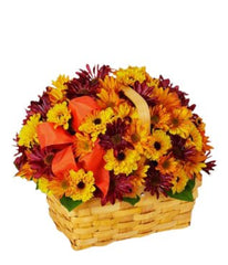 Country Scents - Free Delivery - MontRoyal Florist Montreal