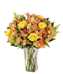 Elegant Amber - Free Delivery - MontRoyal Florist Montreal