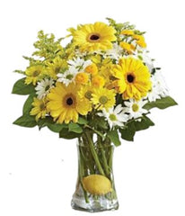 Lemonade - Free Delivery - MontRoyal Florist Montreal