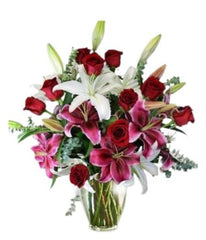 Miracle - Free Delivery - MontRoyal Florist Montreal