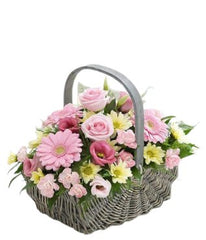 New Baby Girl Basket - Free Delivery - MontRoyal Florist Montreal