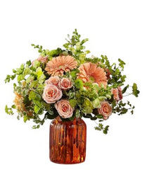 Peachy keen - Free Delivery - MontRoyal Florist Montreal