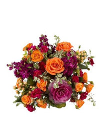 Ruby Radiance - Free Delivery - MontRoyal Florist Montreal