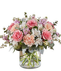 Scented Dream - Free Delivery - MontRoyal Florist Montreal