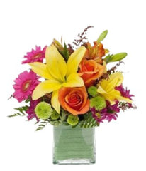 Summertime Splash - Free Delivery - MontRoyal Florist Montreal