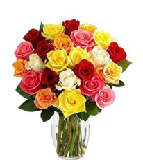 Two Dozen Assorted Roses - Free Delivery - MontRoyal Florist Montreal