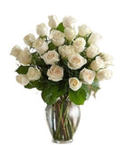 Two Dozen White Roses