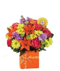 Vibrant Garden - Free Delivery - MontRoyal Florist Montreal