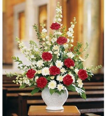 Vivid Sentiments - Free Delivery - MontRoyal Florist Montreal